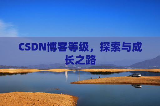 CSDN博客等级，探索与成长之路